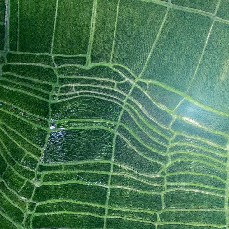 Family terraces and cafés for calm evenings in Naples